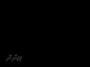 RST سنج (توالی سنج فاز) LUTRON RT-616